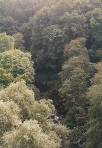 W�lder um Andrafall